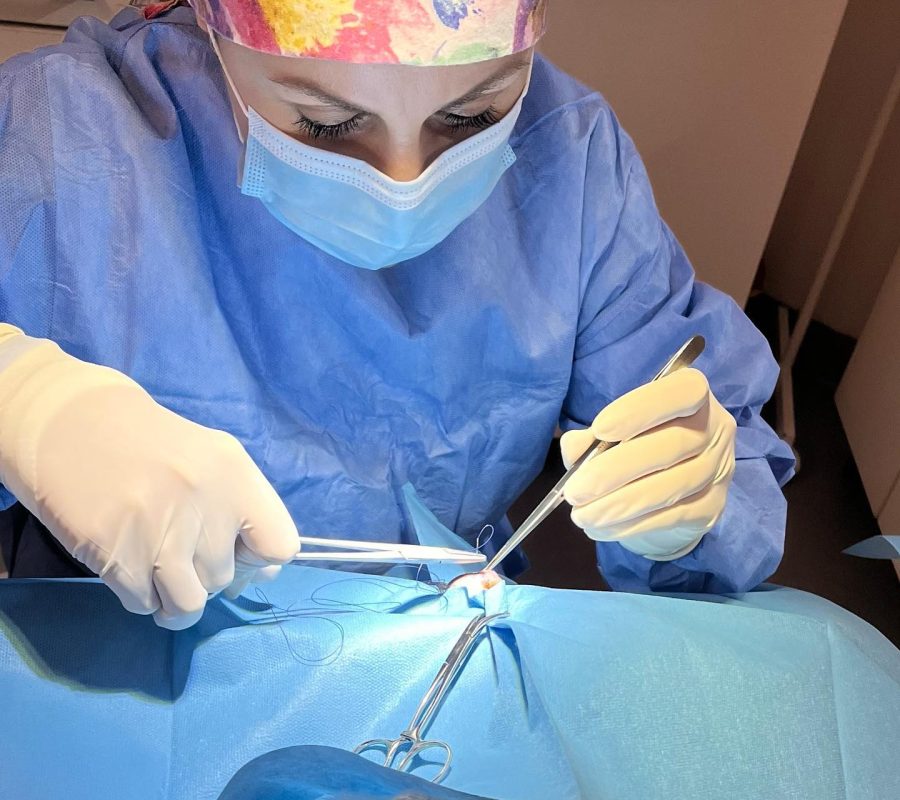 Consultanta veterinara oftamologica pentru Medici