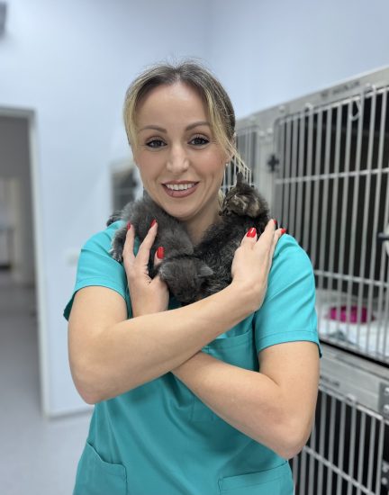 Oftalmologie Veterinara